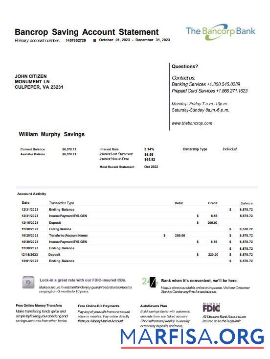 Downloadable USA Bancorp bank statement word template